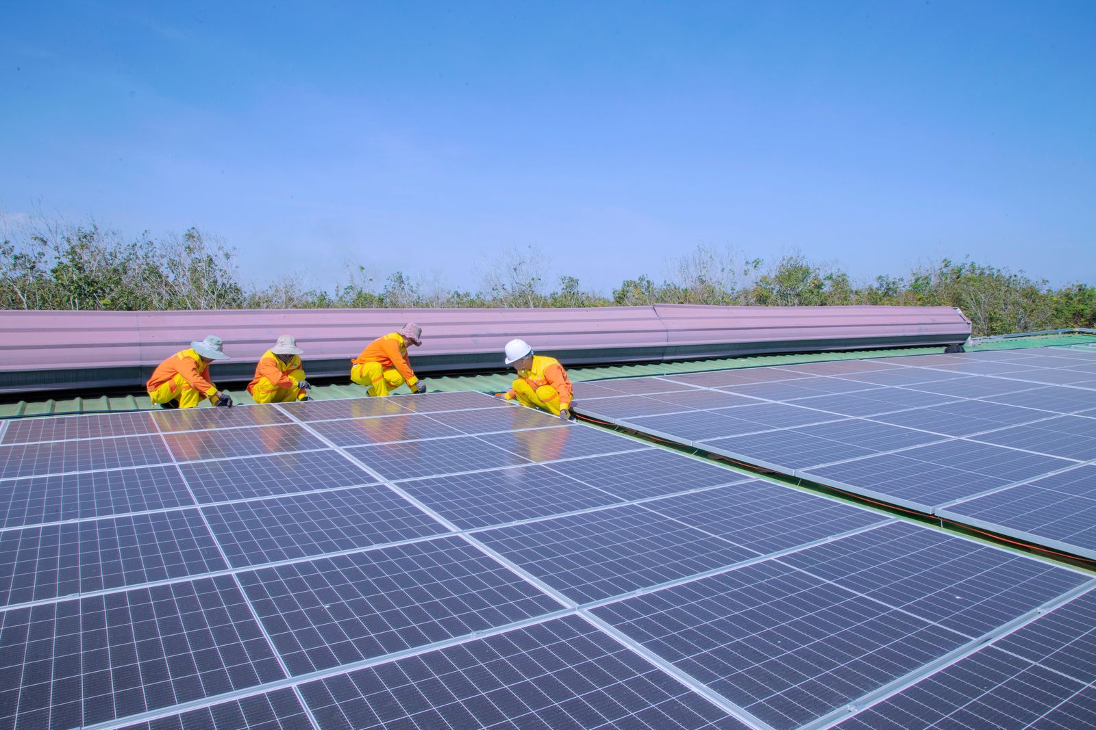 Paneles solares instalados bajo cielo despejado